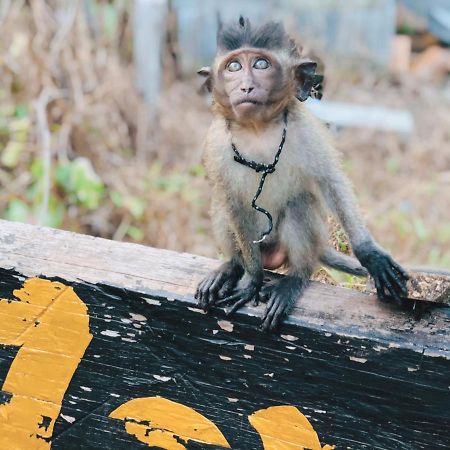 Monkey Bungalow Ko Lanta Екстериор снимка