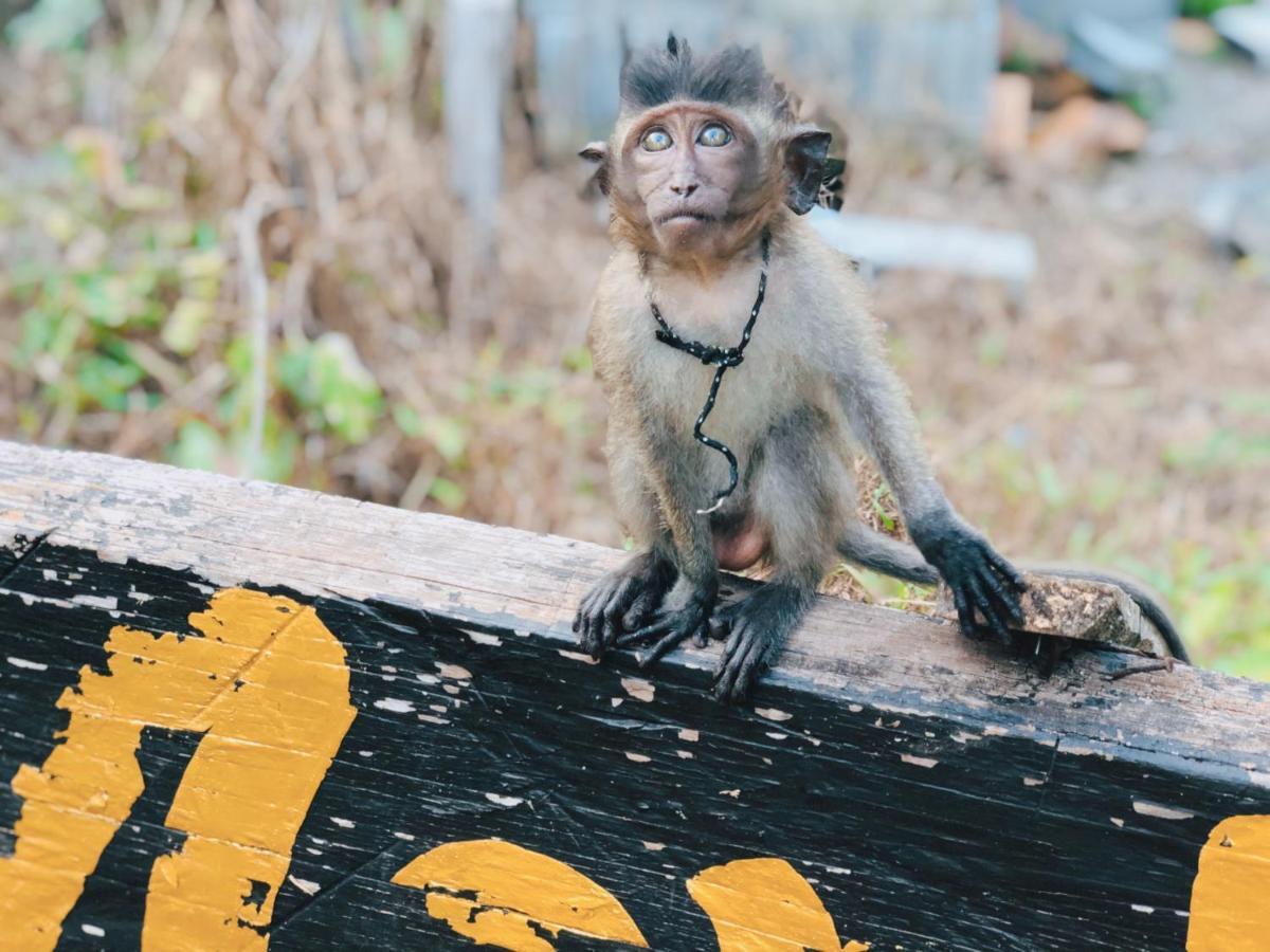 Monkey Bungalow Ko Lanta Екстериор снимка